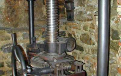 L’Oleoteca di Liguria in vetrina a Trieste dal 3 al 6 marzo per la rassegna “Olio Capitale”