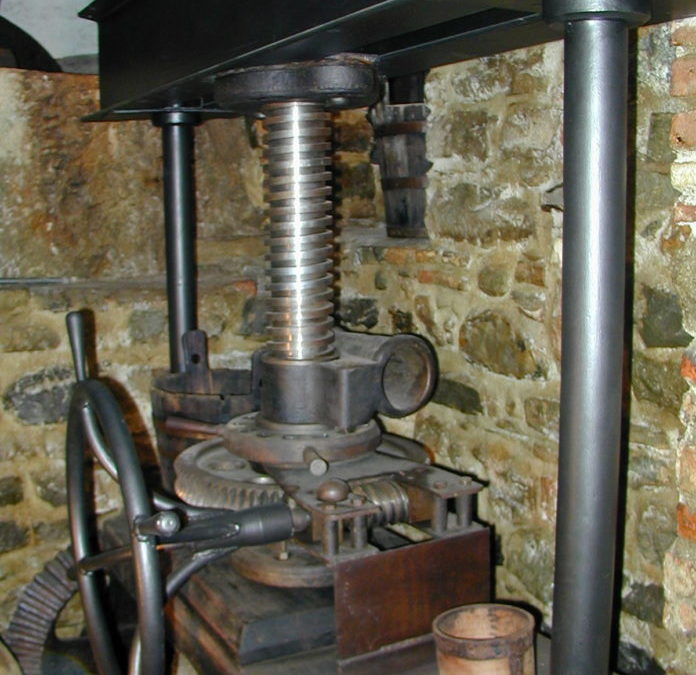 L’Oleoteca di Liguria in vetrina a Trieste dal 3 al 6 marzo per la rassegna “Olio Capitale”