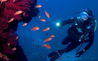 “Sentinelle del mare” entra nel vivo