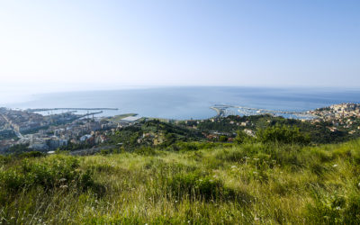 Replica Confcommercio contro le Dichiarazioni del Conduttore Rtl sul Ponente ligure