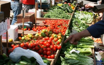 La Fiva, Federazione degli Ambulanti di Confcommercio, in prima linea, di fianco alla Regione, per sostenere la categoria