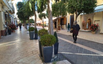 Diano Marina, l’iniziativa di Confcommercio: alberi di Natale per addobbare la città, dopo le feste rimboschiranno zone colpite da incendi