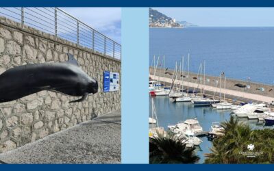 Inaugurazione “Pelagos Discovery” a Bordighera